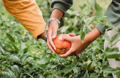 Dot Website Group